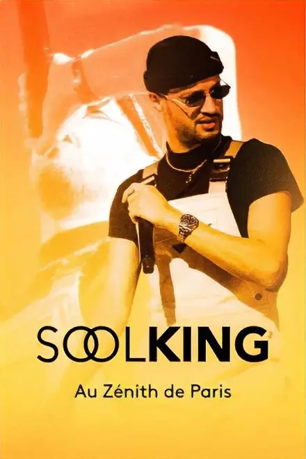 Soolking au ZÃ©nith